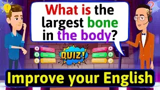 English Vocabulary Quiz | What's Your ENGLISH LEVEL? Take This Test! - Easy English Quiz