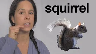 How to Pronounce Squirrel - American English Pronunciation