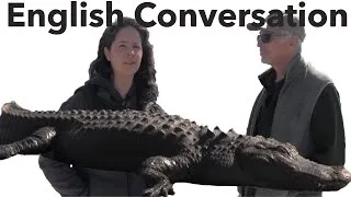 English Conversation - Learn American English with ALLIGATORS!