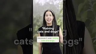 Raining cats and dogs (Idiom) 😺🐶