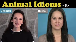 Animal Idioms!  Conversational American English with JenniferESL