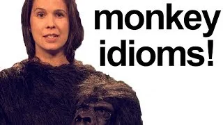 How to Pronounce MONKEY IDIOMS!  American English Pronunciation