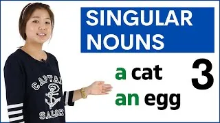 Learn Singular Nouns a / an + noun | Basic English Grammar Course