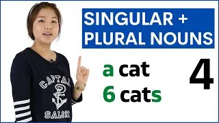 Learn Singular and Plural Nouns +s +es | Basic English Grammar Course
