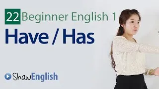 English Grammar: Have / Has