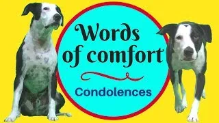 Words of sympathy and comfort - expressing condolences in English