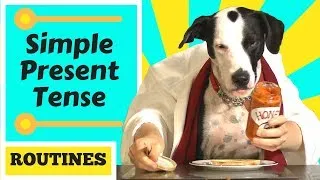 The Present Simple Tense - Carter's breakfast routine