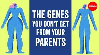 The genes you don't get from your parents (but can't live without) - Devin Shuman