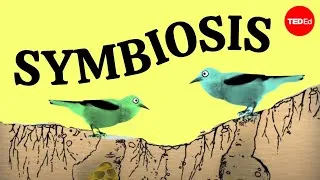 Symbiosis: A surprising tale of species cooperation - David Gonzales