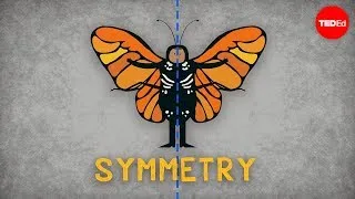 The science of symmetry - Colm Kelleher