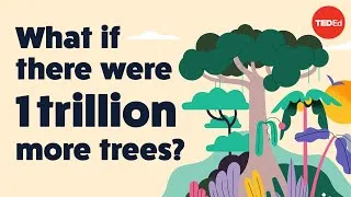 What if there were 1 trillion more trees? - Jean-François Bastin
