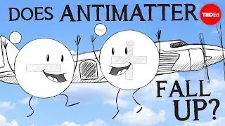 If matter falls down, does antimatter fall up? - Chloé Malbrunot