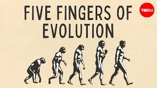 Five fingers of evolution - Paul Andersen