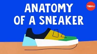 The wildly complex anatomy of a sneaker - Angel Chang
