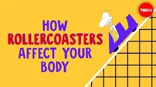 How rollercoasters affect your body - Brian D. Avery