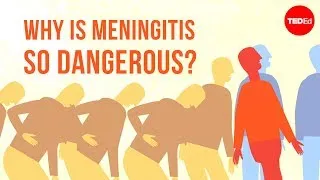 Why is meningitis so dangerous? - Melvin Sanicas