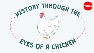 History through the eyes of a chicken - Chris A. Kniesly