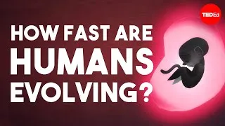 Is human evolution speeding up or slowing down? - Laurence Hurst