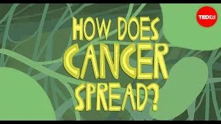 How does cancer spread through the body? - Ivan Seah Yu Jun