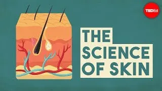 The science of skin - Emma Bryce