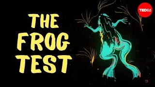 The best pregnancy test used to be this frog ... no, really - Carly Anne York