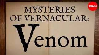 Mysteries of vernacular: Venom - Jessica Oreck and Rachael Teel