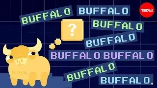 Buffalo buffalo buffalo: One-word sentences and how they work - Emma Bryce