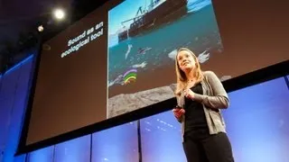 How giant sea creatures eat tiny sea creatures - Kelly Benoit-Bird