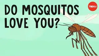 Do mosquitos actually bite some people more than others? - Maria Elena De Obaldia