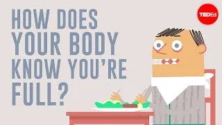 How does your body know you're full? - Hilary Coller