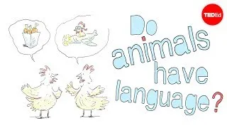 Do animals have language? - Michele Bishop