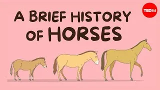 How horses changed history - William T. Taylor