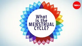 How menstruation works - Emma Bryce