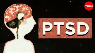 The psychology of post-traumatic stress disorder - Joelle Rabow Maletis