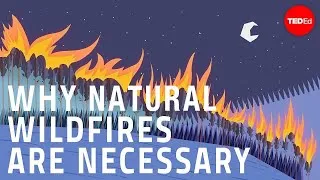 Why certain naturally occurring wildfires are necessary - Jim Schulz