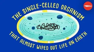 How a single-celled organism almost wiped out life on Earth - Anusuya Willis
