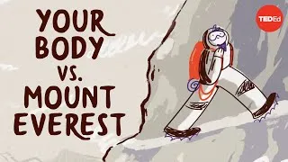 What happens to your body at the top of Mount Everest - Andrew Lovering