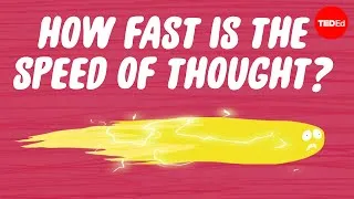 How fast is the speed of thought? - Seena Mathew
