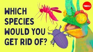 Which species would you get rid of? | Ada, Ep. 5