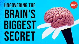 Uncovering the brain's biggest secret - Melanie E. Peffer