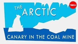 Why the Arctic is climate change's canary in the coal mine - William Chapman