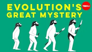 Evolution’s great mystery - Michael Corballis