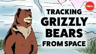Tracking grizzly bears from space - David Laskin