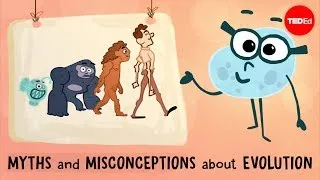 Myths and misconceptions about evolution - Alex Gendler