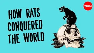 The history of the world according to rats - Max G. Levy