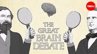 The great brain debate - Ted Altschuler