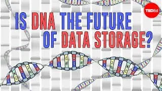 Is DNA the future of data storage? - Leo Bear-McGuinness