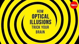 How optical illusions trick your brain - Nathan S. Jacobs