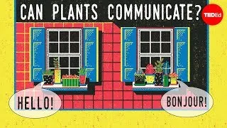 Can plants talk to each other? - Richard Karban