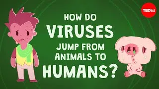 How do viruses jump from animals to humans? - Ben Longdon
